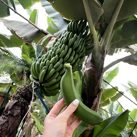 Best4u Nautico Appartement