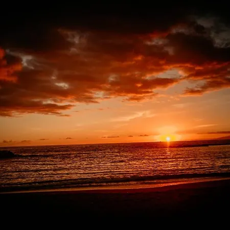 דירה Best4u Nautico