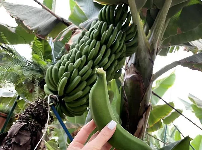 Best4u Nautico Apartament